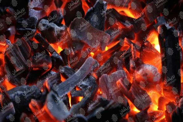 بهترین برند زغال صادراتی ایران