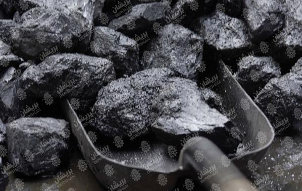 لیست قیمت انواع زغال پسته صادراتی 
