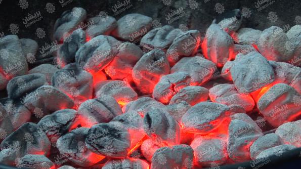 تولید و پخش انواع زغال بدون بو در بازار ایران